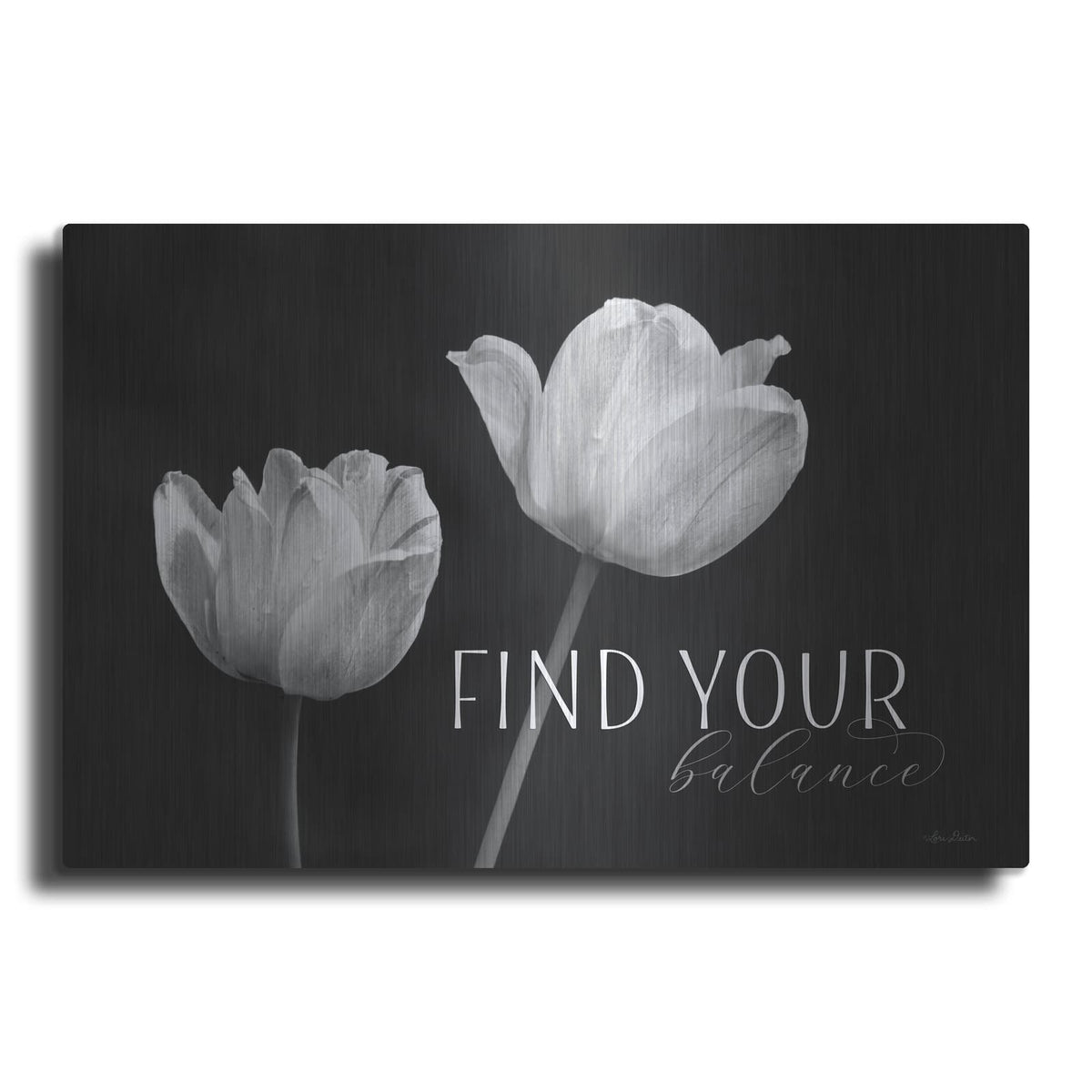 'Find Your Balance' by Lori Deiter – Metal Wall Art