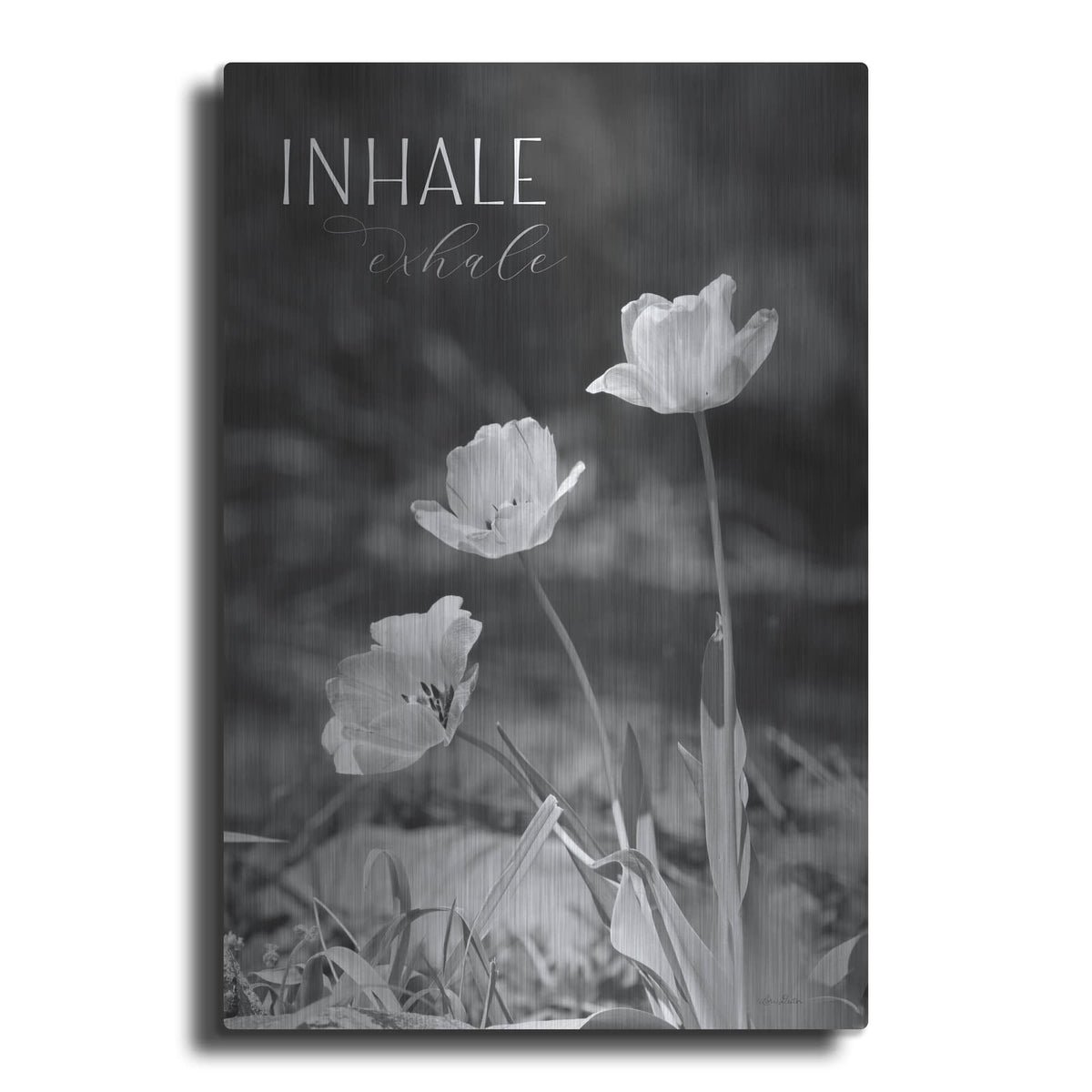 'Inhale, Exhale' by Lori Deiter – Metal Wall Art