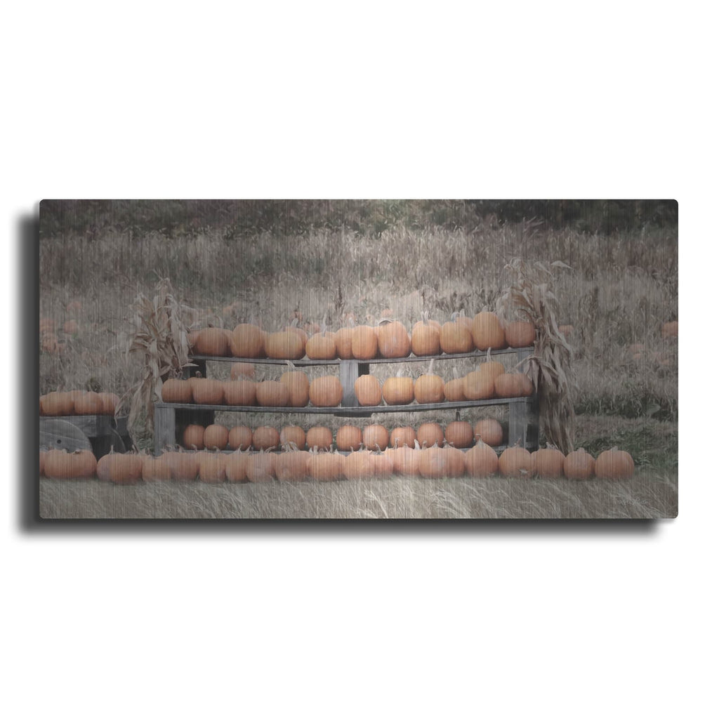 'Pumpkin Picking' by Lori Deiter – Metal Wall Art
