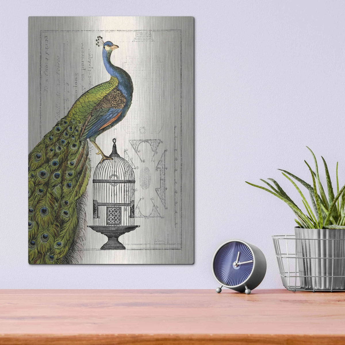 'Peacock Birdcage I' by Sue Schlabach – Metal Wall Art, 12x16 room view