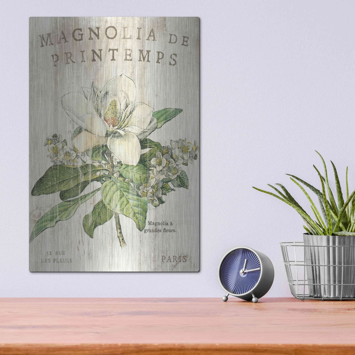 'Magnolia de Printemps' by Sue Schlabach – Metal Wall Art, 12x16 room view