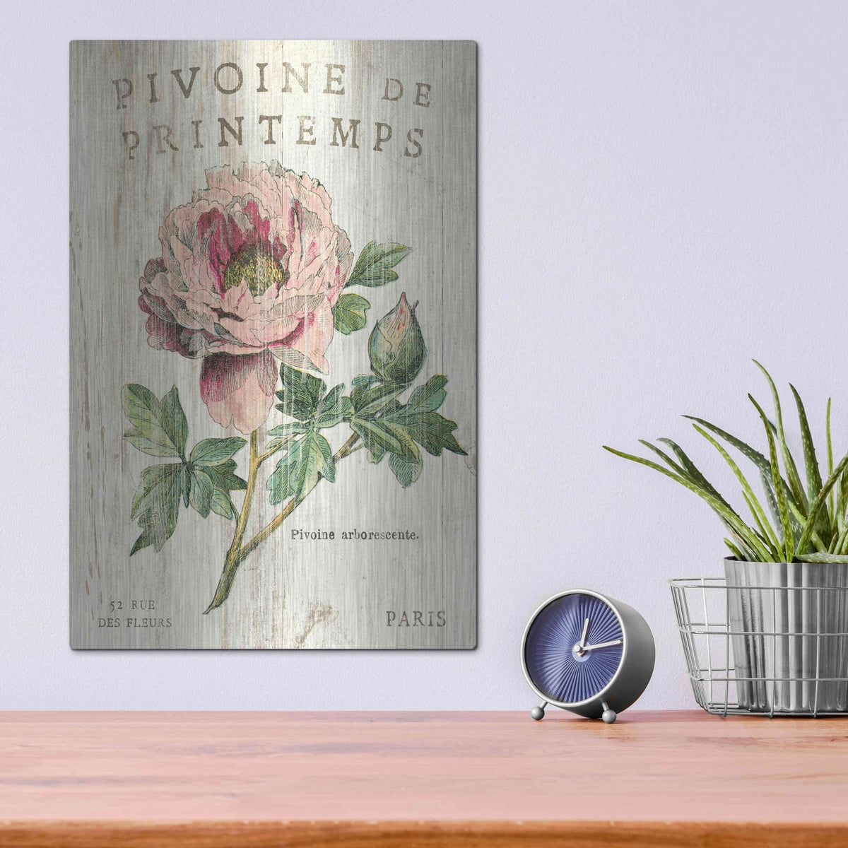 'Pivoine de Printemps' by Sue Schlabach – Metal Wall Art, 12x16 room view