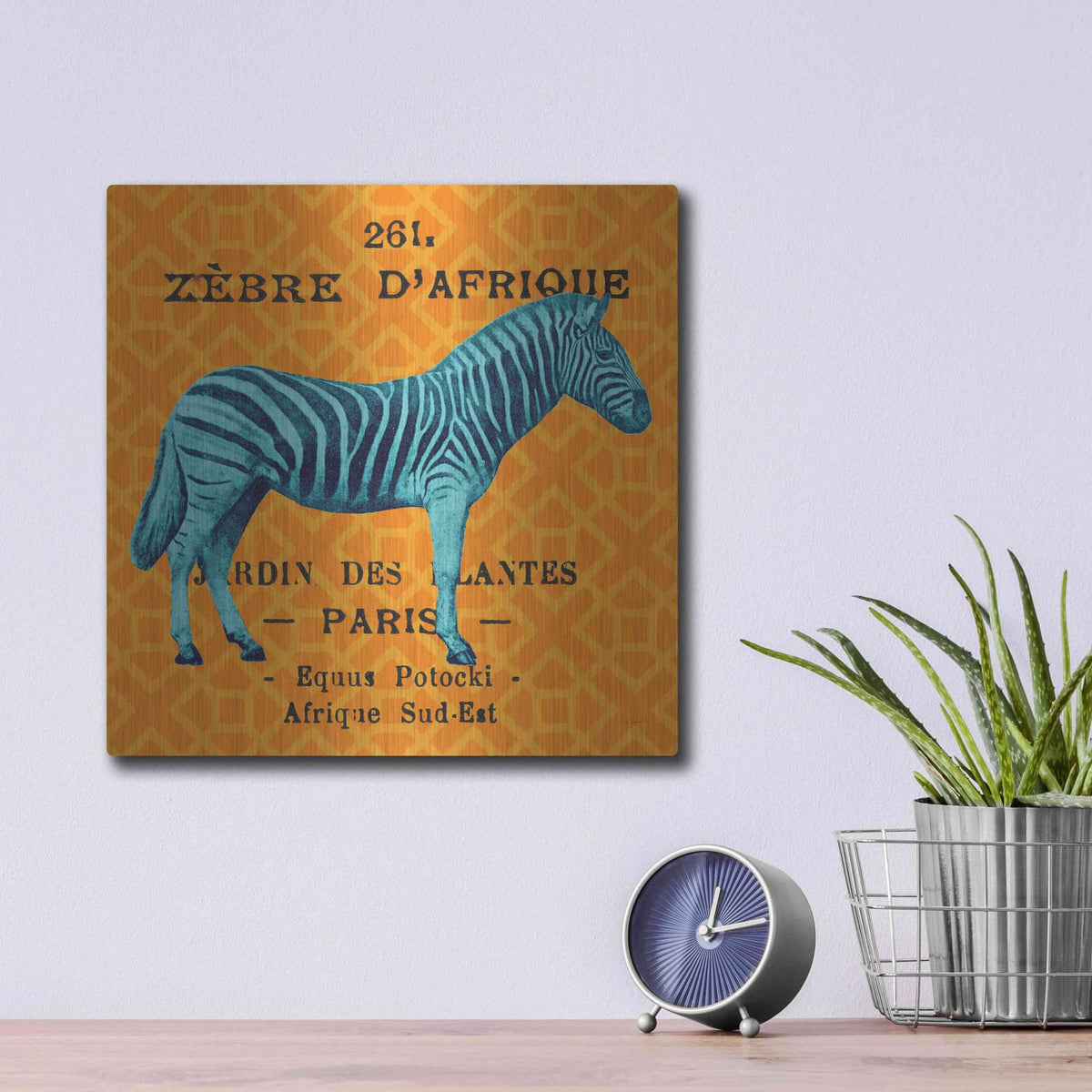'Bright Safari Zebra' by Sue Schlabach – Metal Wall Art, 12x12 room view