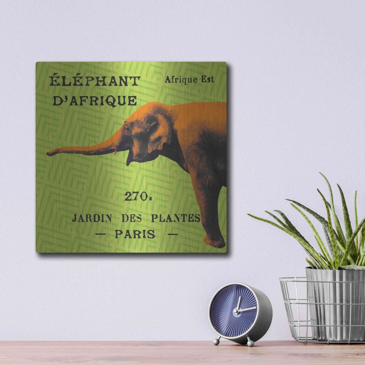 'Bright Safari Elephant' by Sue Schlabach – Metal Wall Art, 12x12 room view