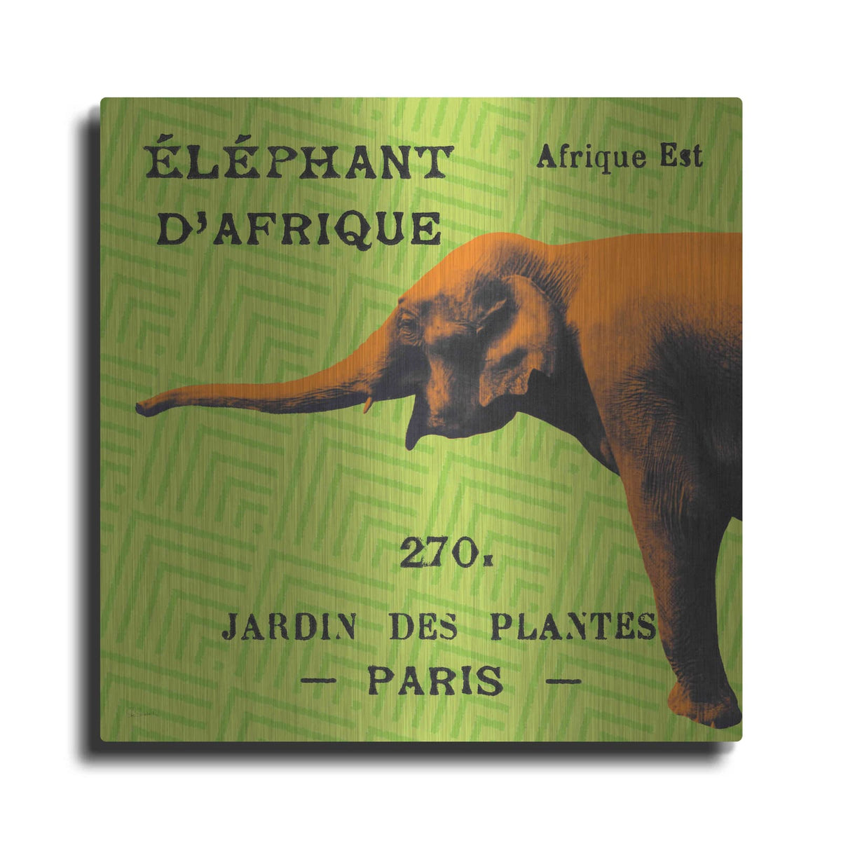 'Bright Safari Elephant' by Sue Schlabach – Metal Wall Art