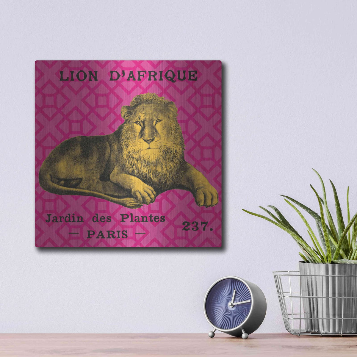 'Bright Safari Lion' by Sue Schlabach – Metal Wall Art, 12x12 room view