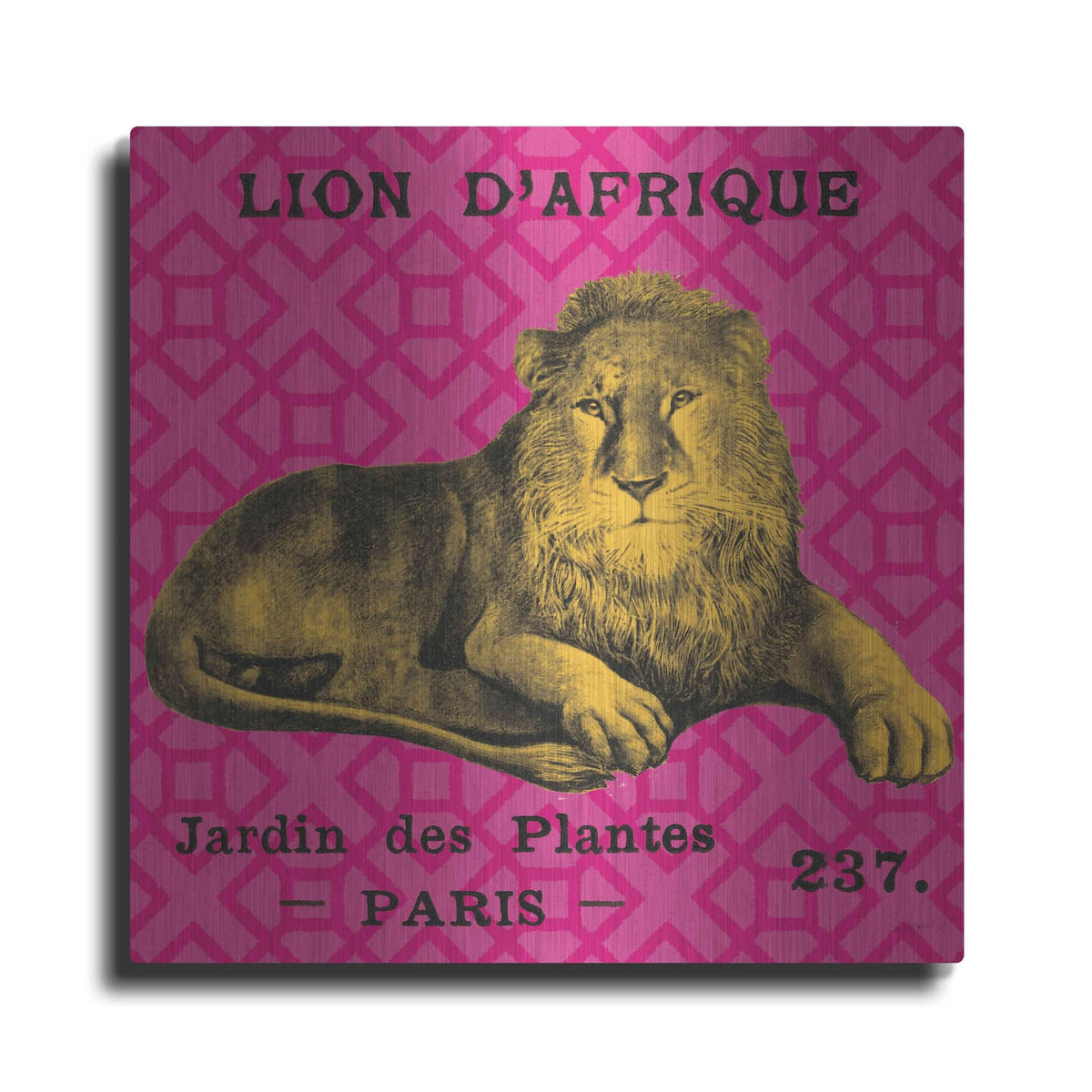 'Bright Safari Lion' by Sue Schlabach – Metal Wall Art
