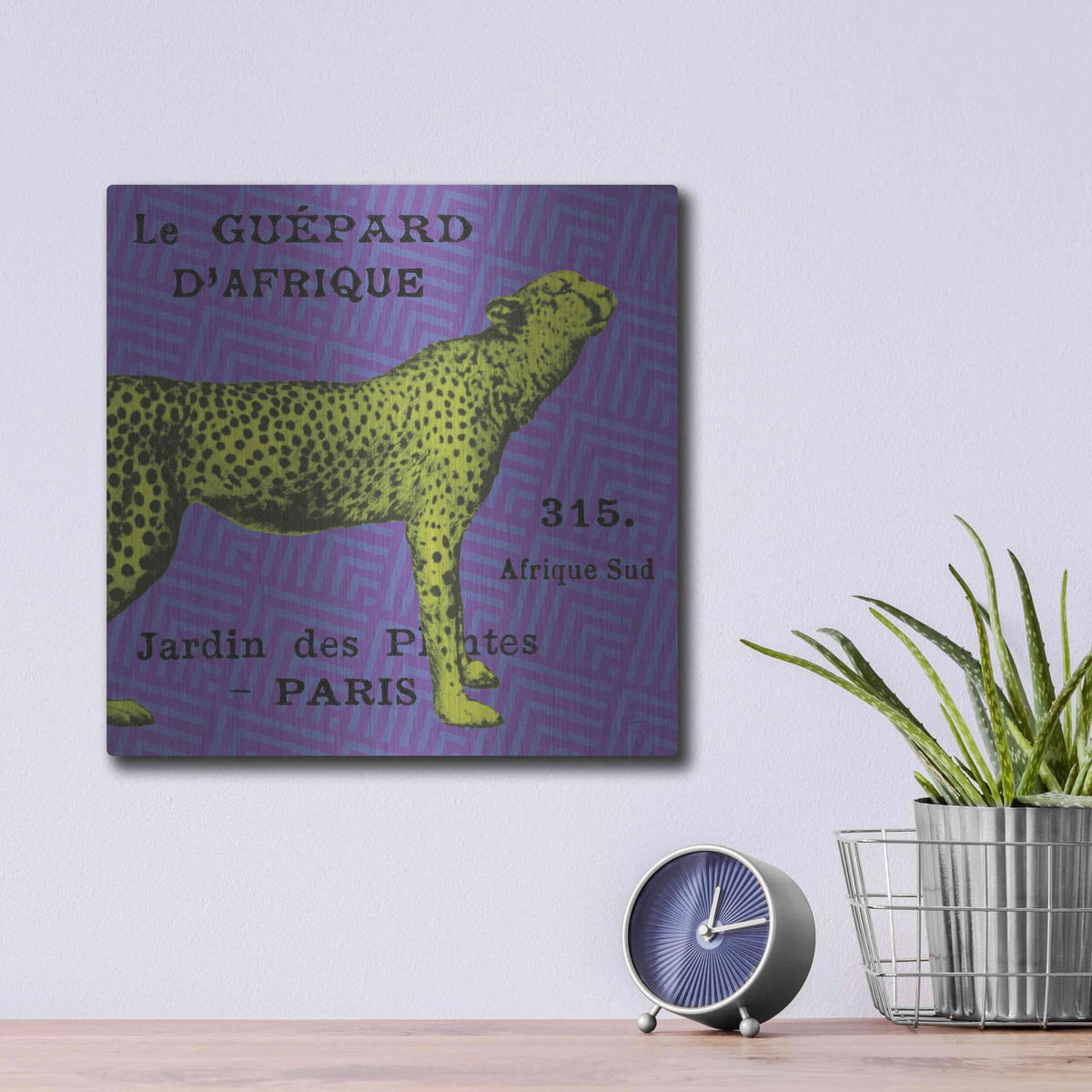 'Bright Safari Leopard' by Sue Schlabach – Metal Wall Art, 12x12 room view