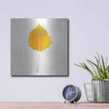'Autumn Colors III' by Sue Schlabach – Metal Wall Art, 12x12 room view