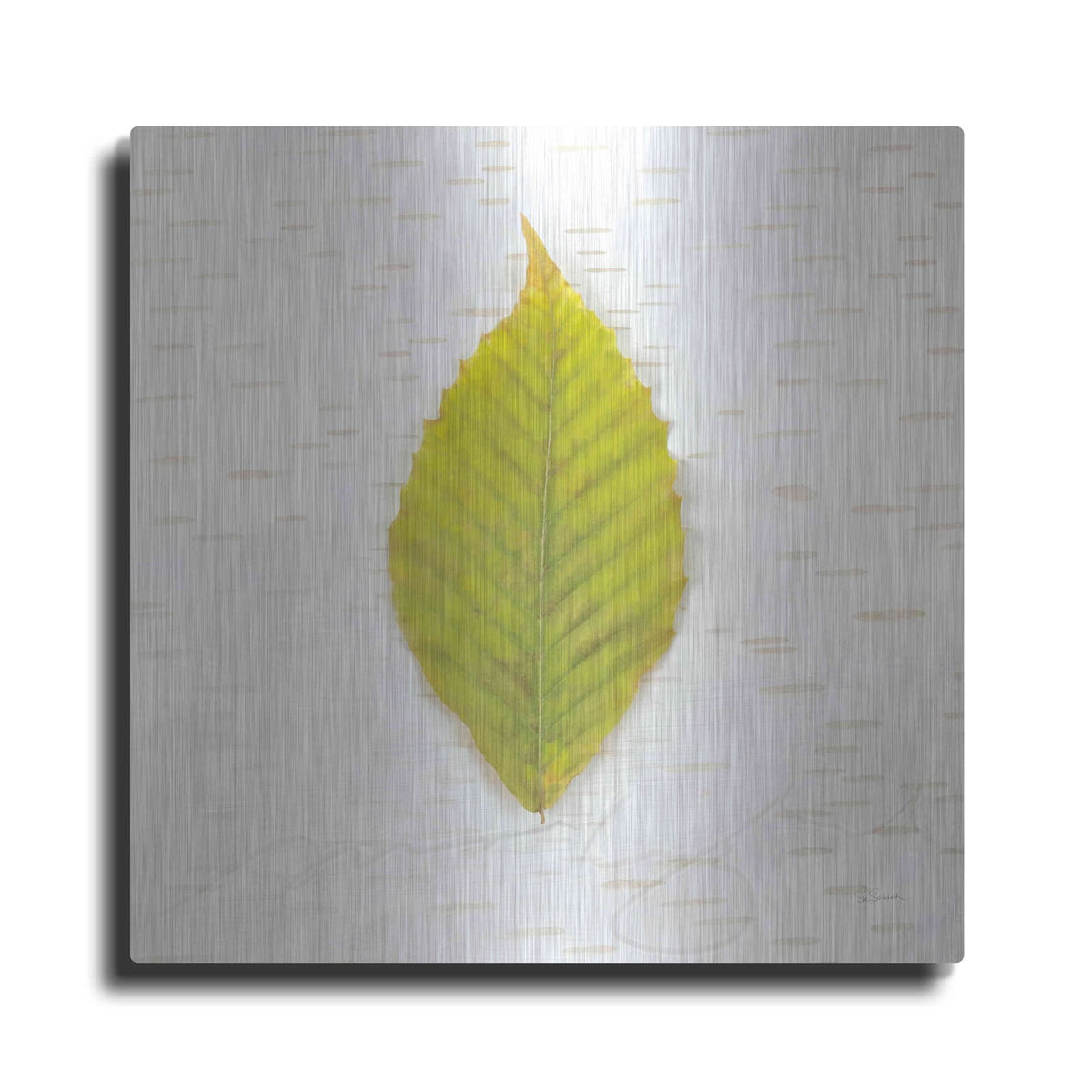 'Autumn Colors IV' by Sue Schlabach – Metal Wall Art