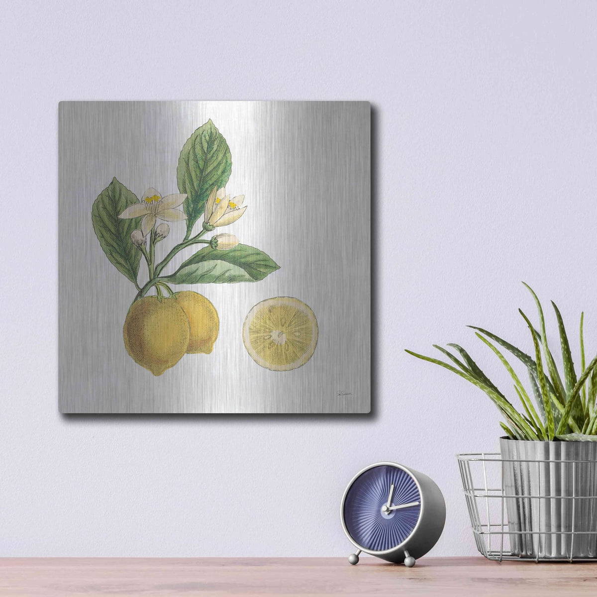 'Classic Citrus I' by Sue Schlabach – Metal Wall Art, 12x12 room view