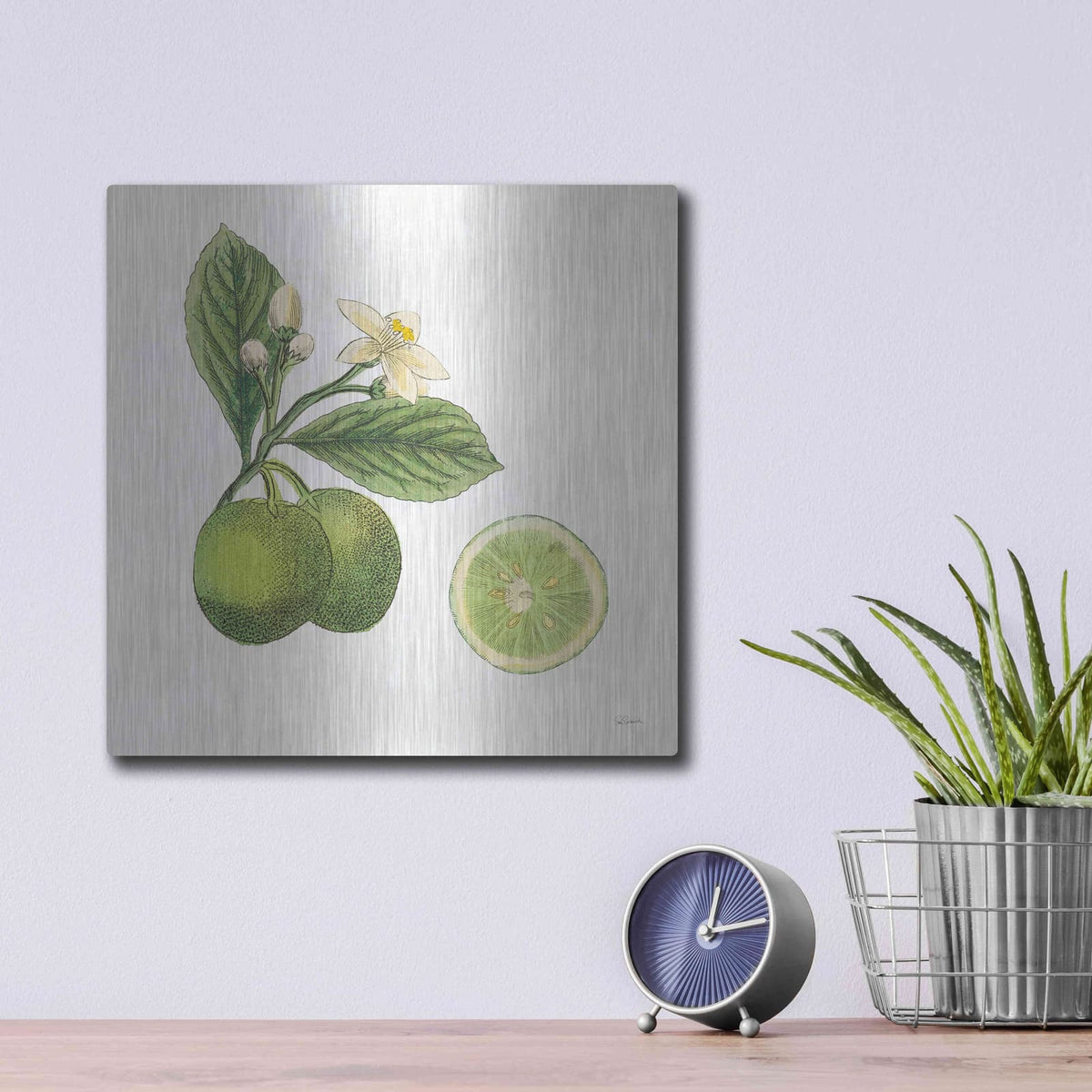 'Classic Citrus III' by Sue Schlabach – Metal Wall Art, 12x12 room view