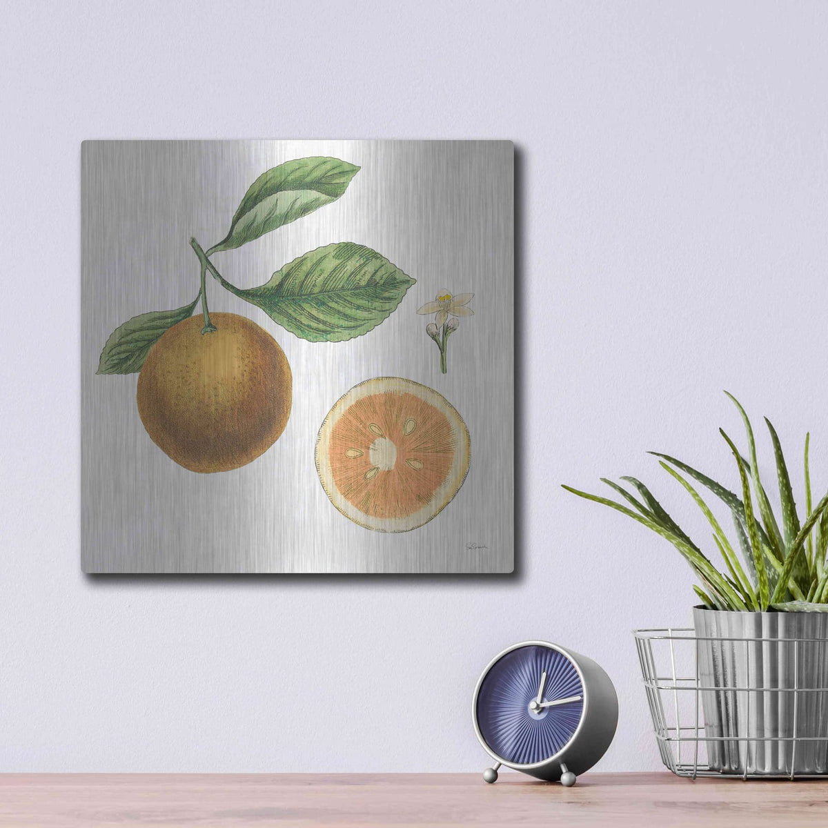 'Classic Citrus IV' by Sue Schlabach – Metal Wall Art, 12x12 room view