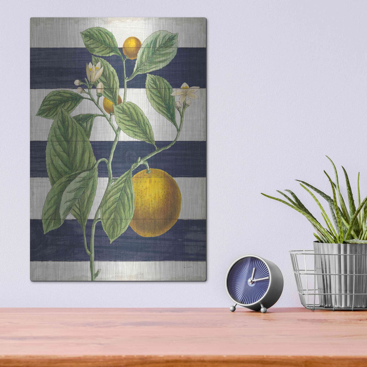 'Classic Citrus VI Navy Shiplap NW' by Sue Schlabach – Metal Wall Art, 12x16 room view