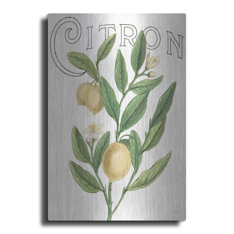 'Classic Citrus V Light' by Sue Schlabach – Metal Wall Art