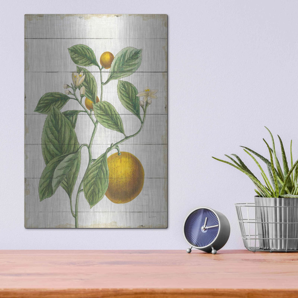 'Classic Citrus VI Shiplap No Words' by Sue Schlabach – Metal Wall Art, 12x16 room view