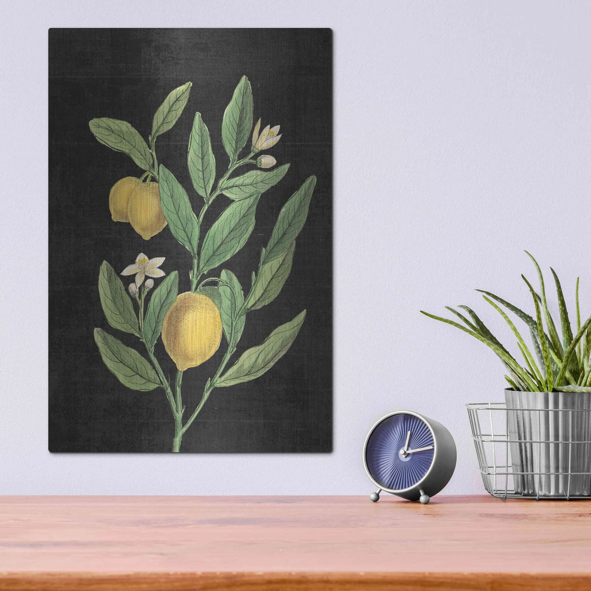 'Classic Citrus V Black No Words' by Sue Schlabach – Metal Wall Art, 12x16 room view