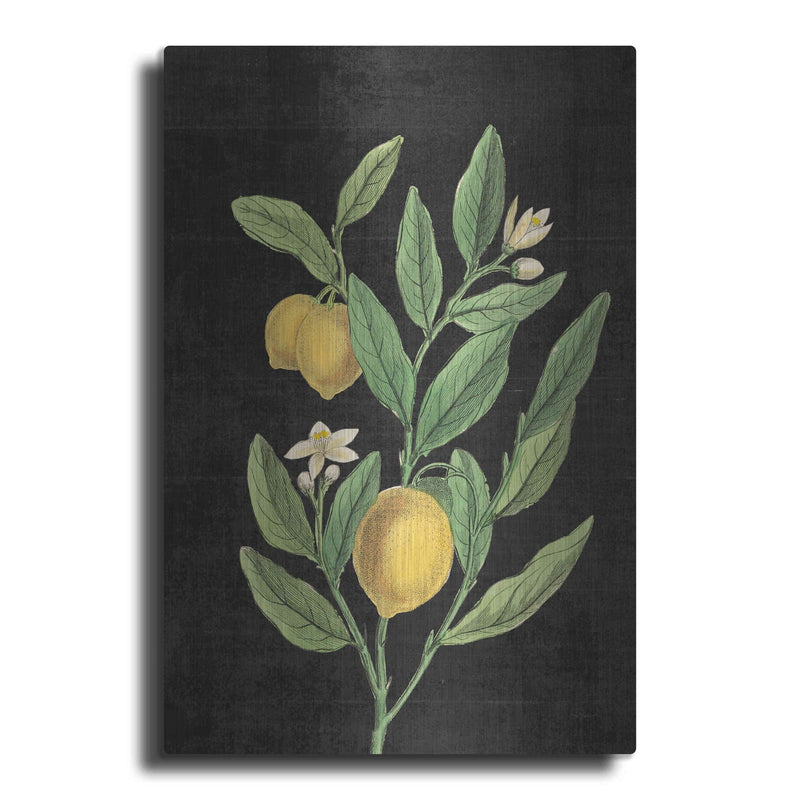 'Classic Citrus V Black No Words' by Sue Schlabach – Metal Wall Art