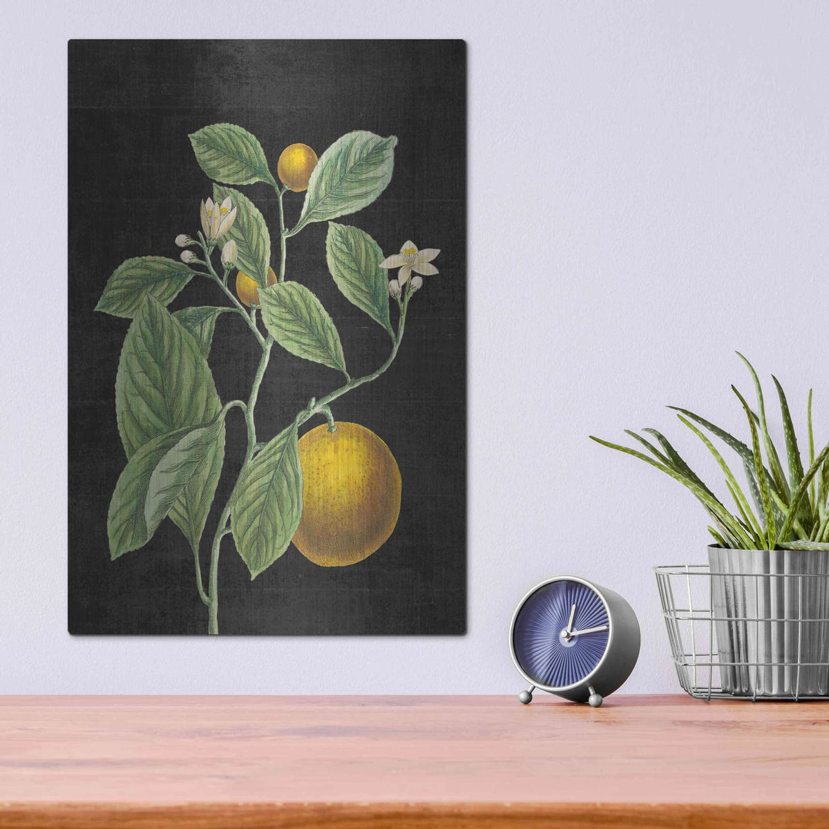 'Classic Citrus VI Black No Words' by Sue Schlabach – Metal Wall Art, 12x16 room view