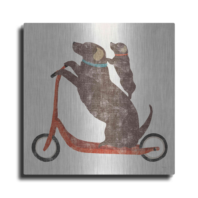 'Lab Scooter Ride' by Sue Schlabach – Metal Wall Art