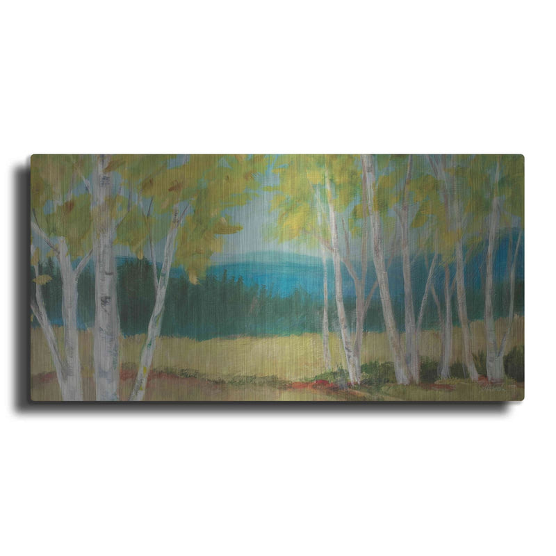 'Birch Road Crop' by Sue Schlabach – Metal Wall Art