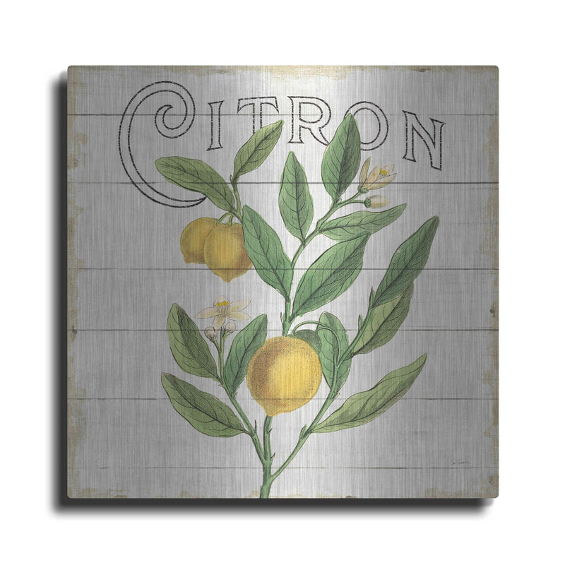 'Classic Citrus V Shiplap Sq' by Sue Schlabach – Metal Wall Art