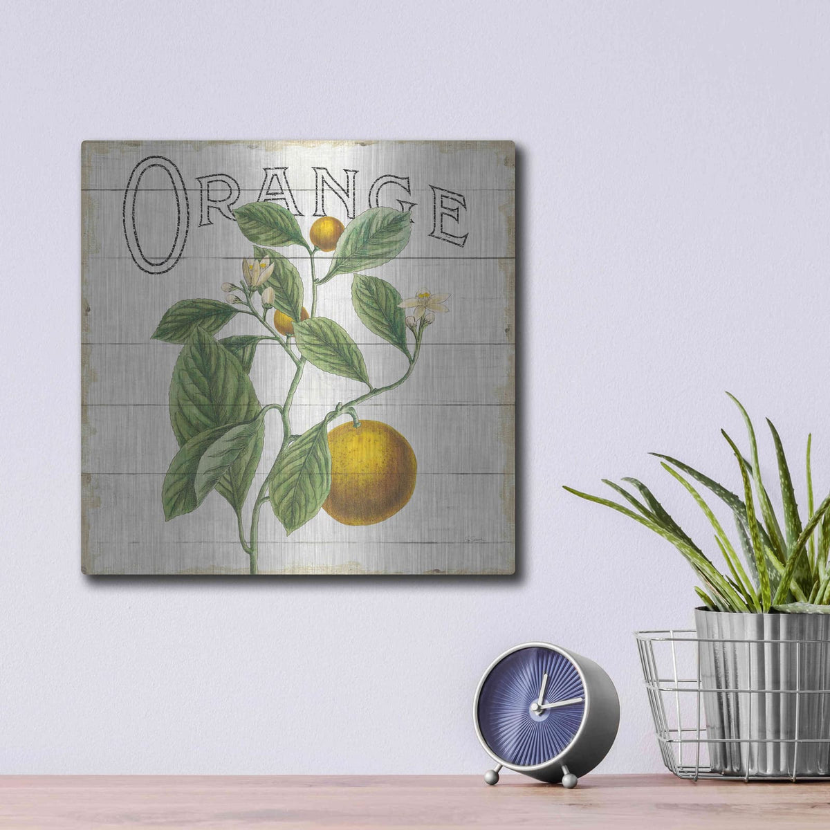 'Classic Citrus VI Shiplap Sq' by Sue Schlabach – Metal Wall Art, 12x12 room view