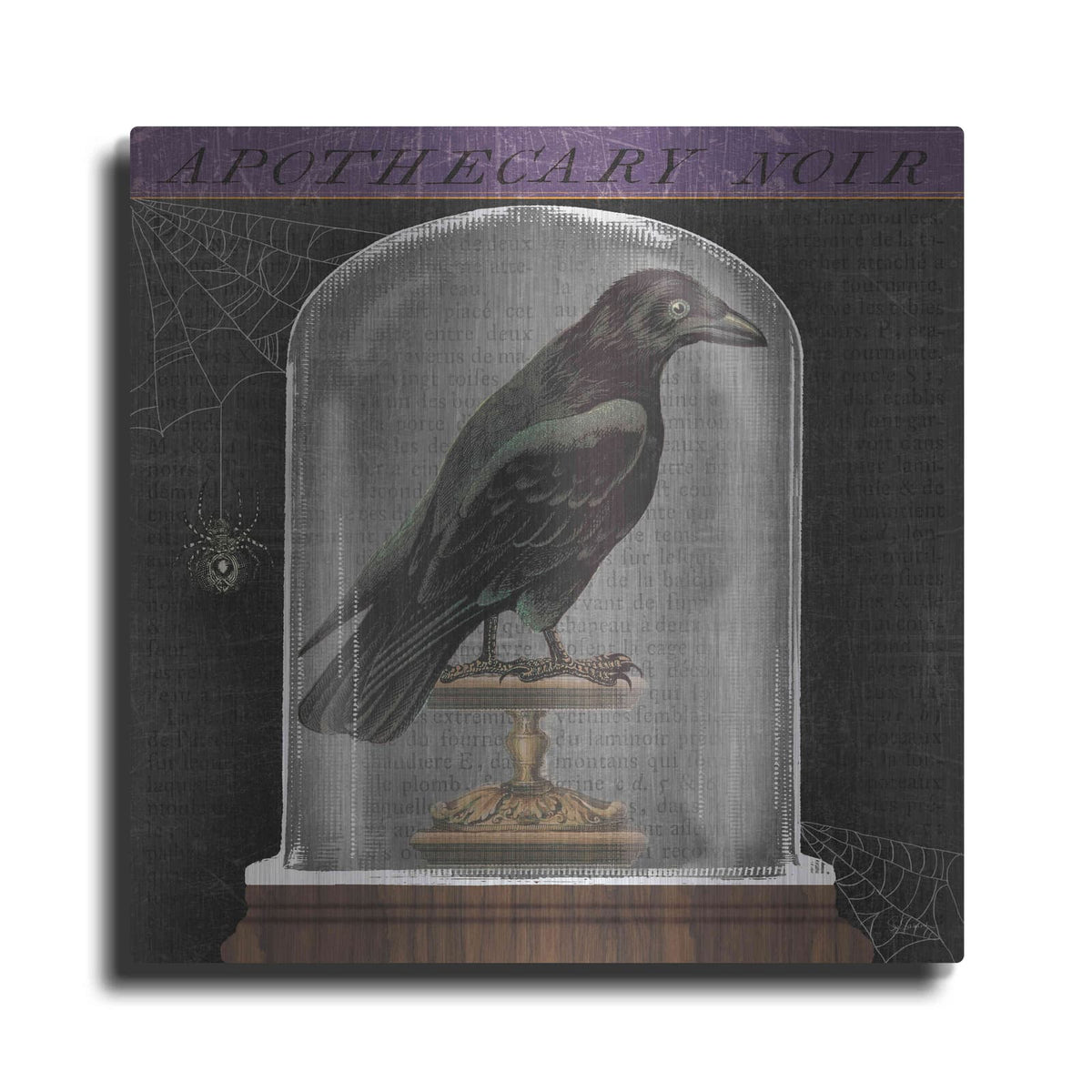 'Apothecary Noir I' by Sue Schlabach – Metal Wall Art