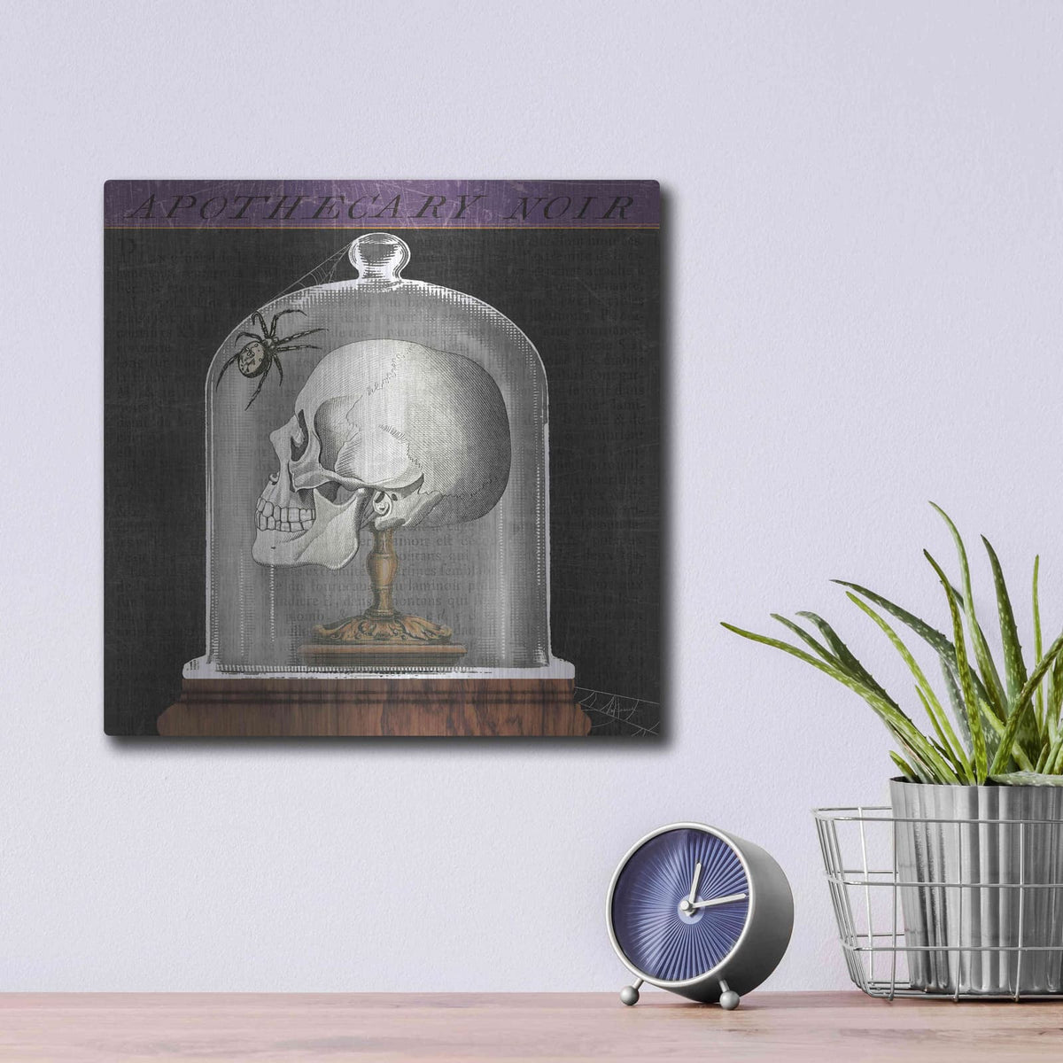 'Apothecary Noir II' by Sue Schlabach – Metal Wall Art, 12x12 room view