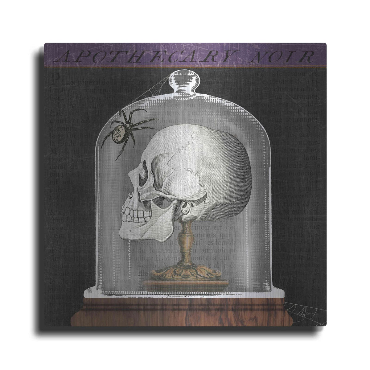 'Apothecary Noir II' by Sue Schlabach – Metal Wall Art