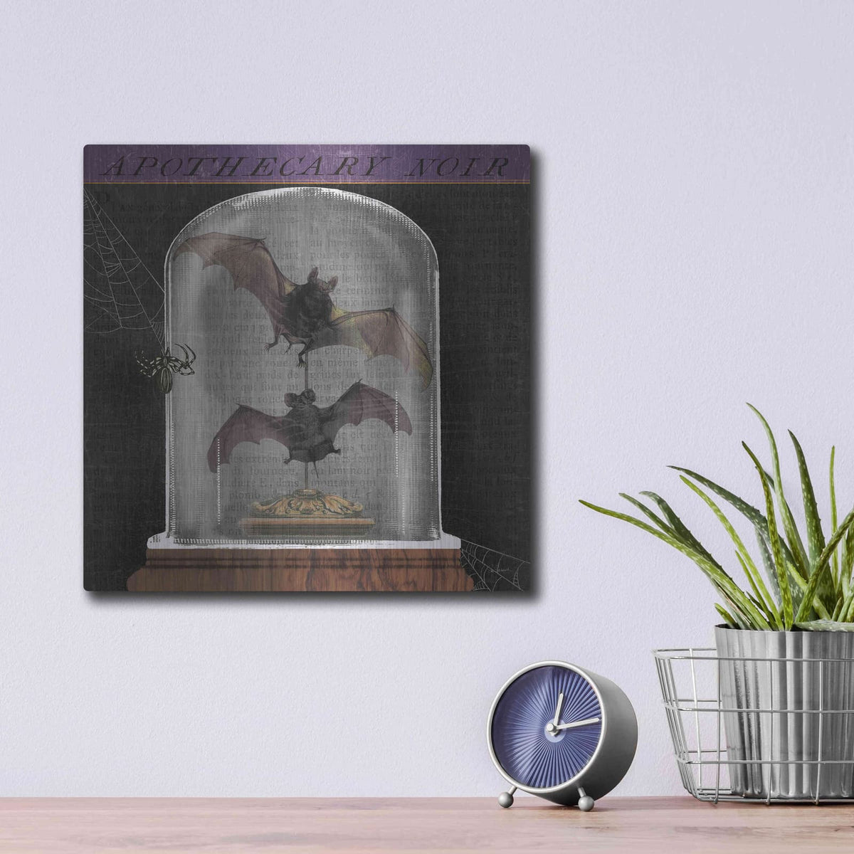 'Apothecary Noir IV' by Sue Schlabach – Metal Wall Art, 12x12 room view