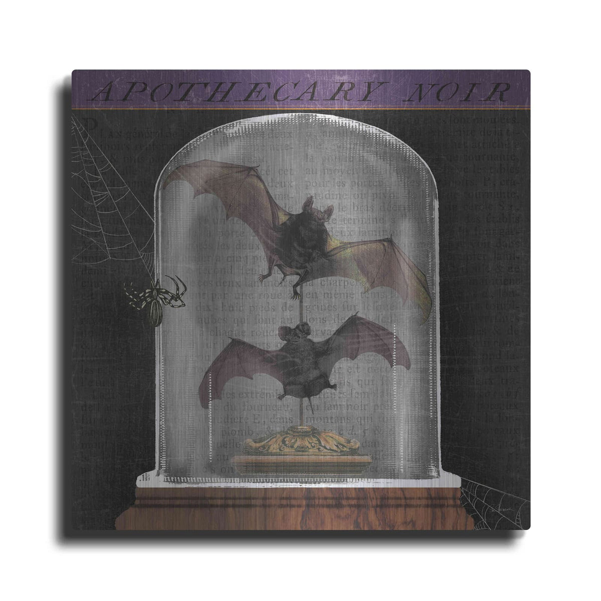 'Apothecary Noir IV' by Sue Schlabach – Metal Wall Art