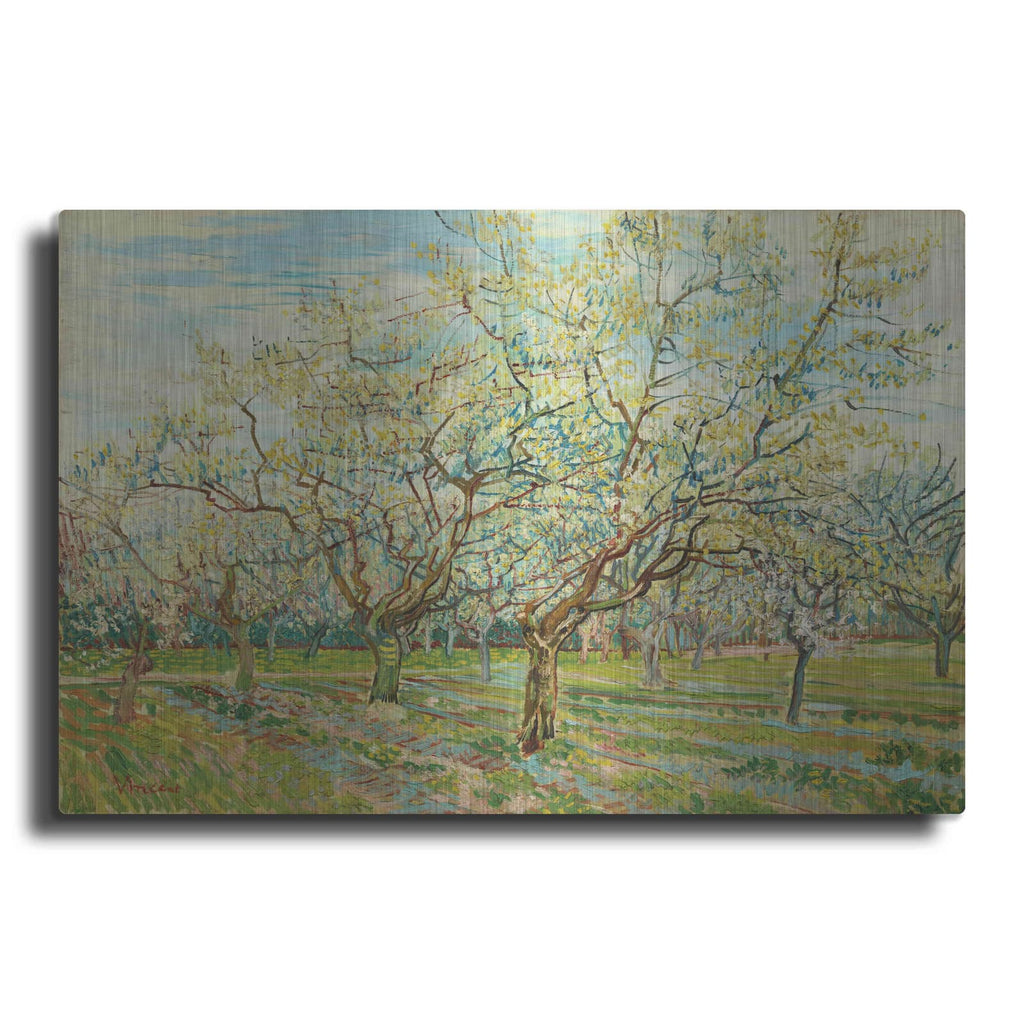 'The White Orchard' by Vincent Van Gogh – Metal Wall Art