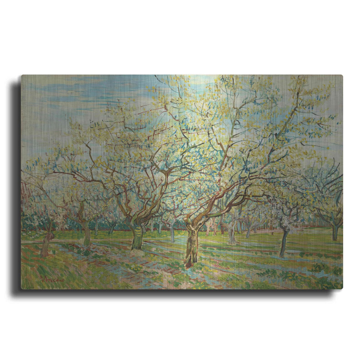 'The White Orchard' by Vincent Van Gogh – Metal Wall Art