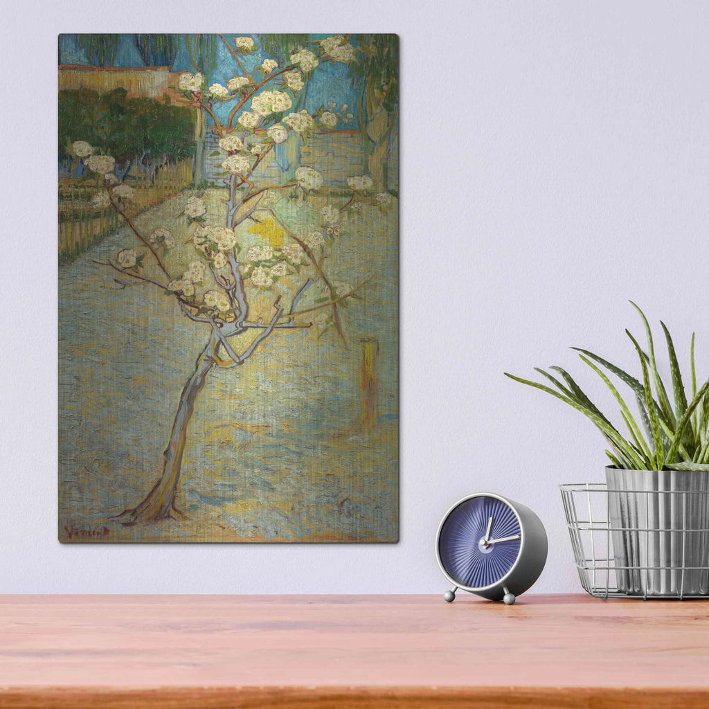 'Small Pear Tree In Blossom' by Vincent Van Gogh – Metal Wall Art, 12x16 room view