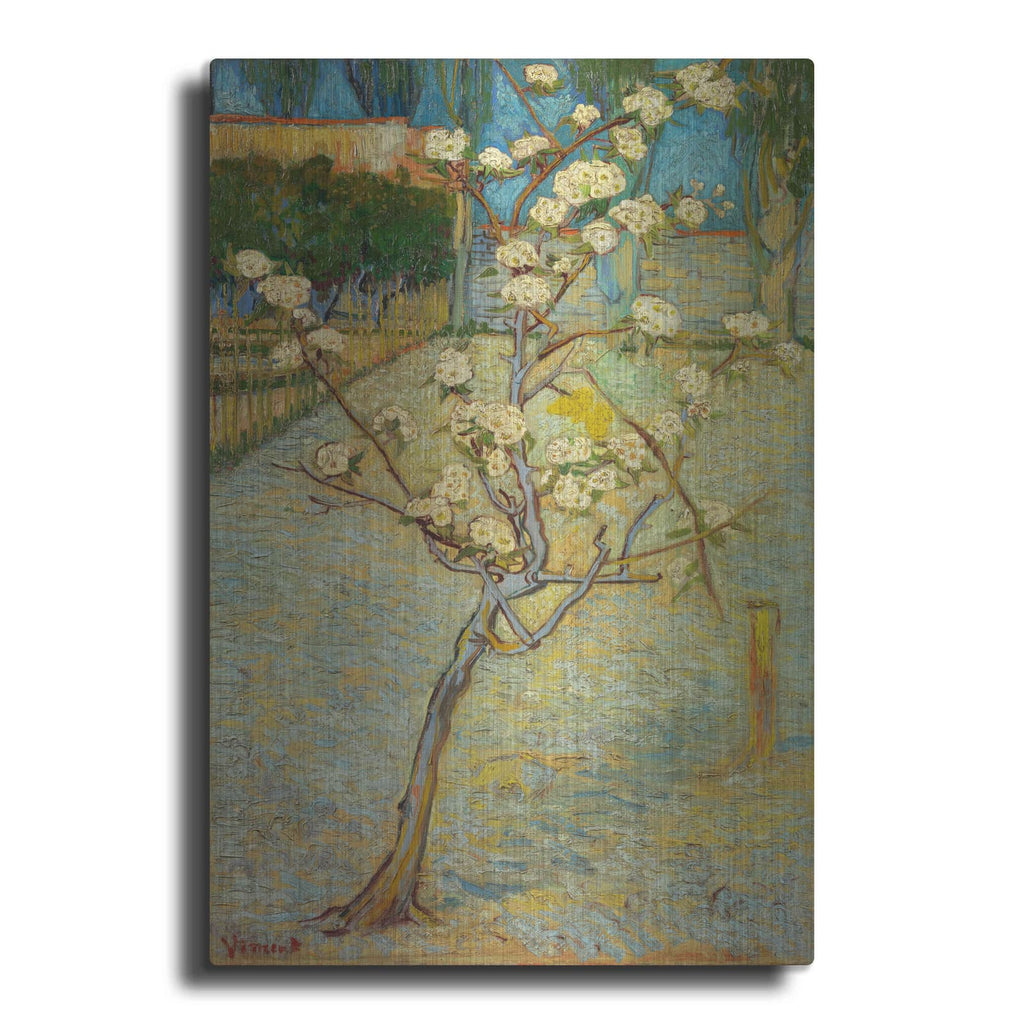 'Small Pear Tree In Blossom' by Vincent Van Gogh – Metal Wall Art