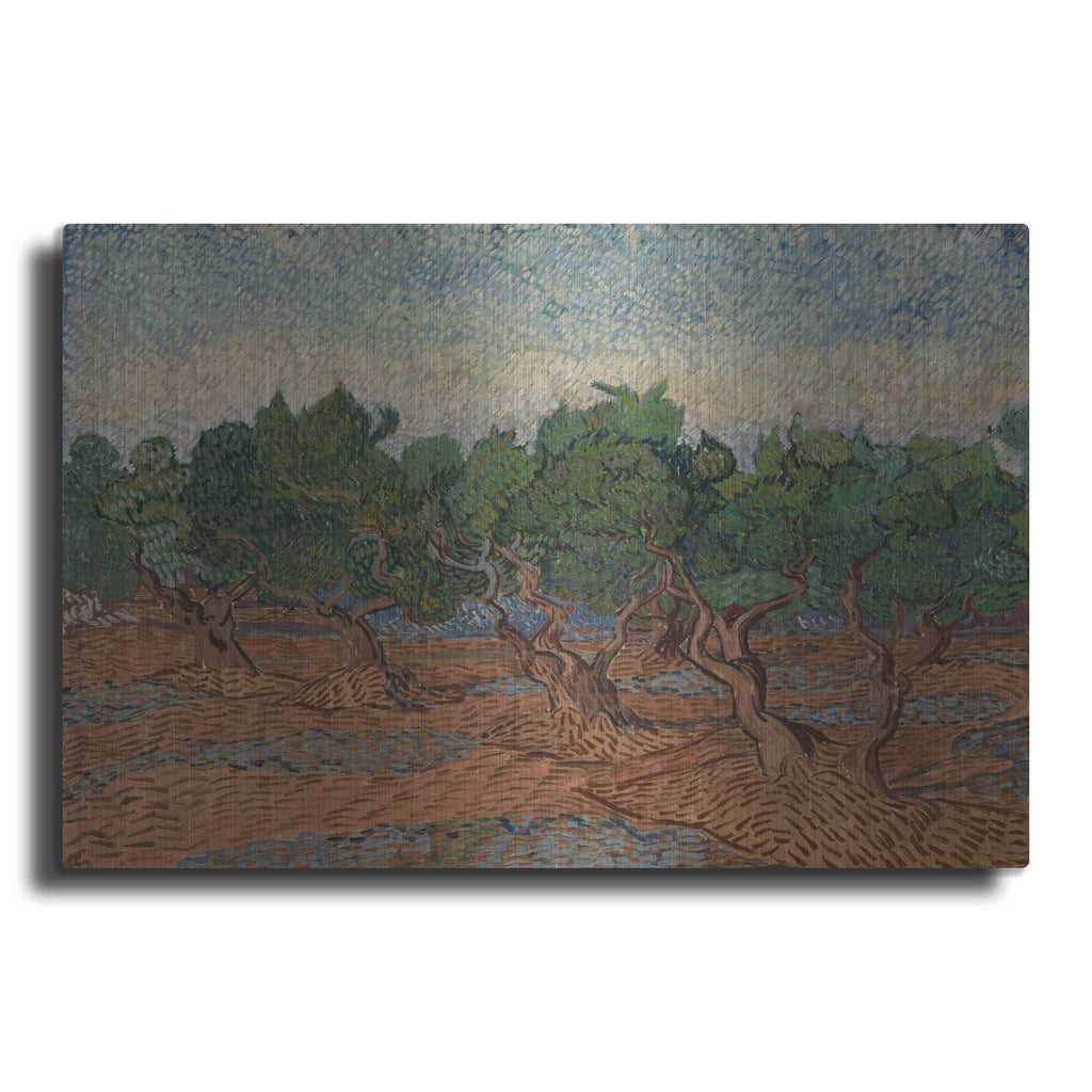 'Olive Grove II' by Vincent Van Gogh – Metal Wall Art