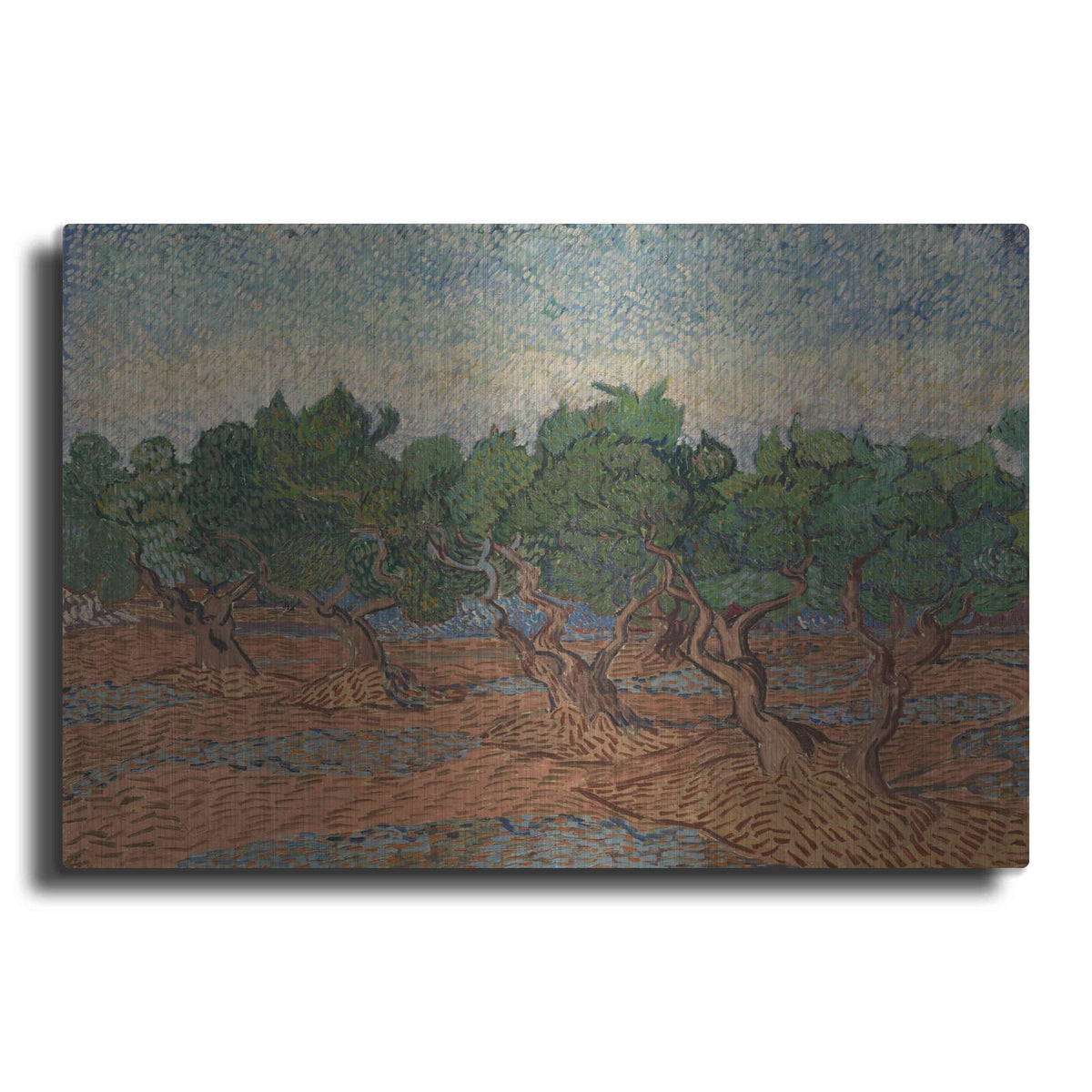 'Olive Grove II' by Vincent Van Gogh – Metal Wall Art