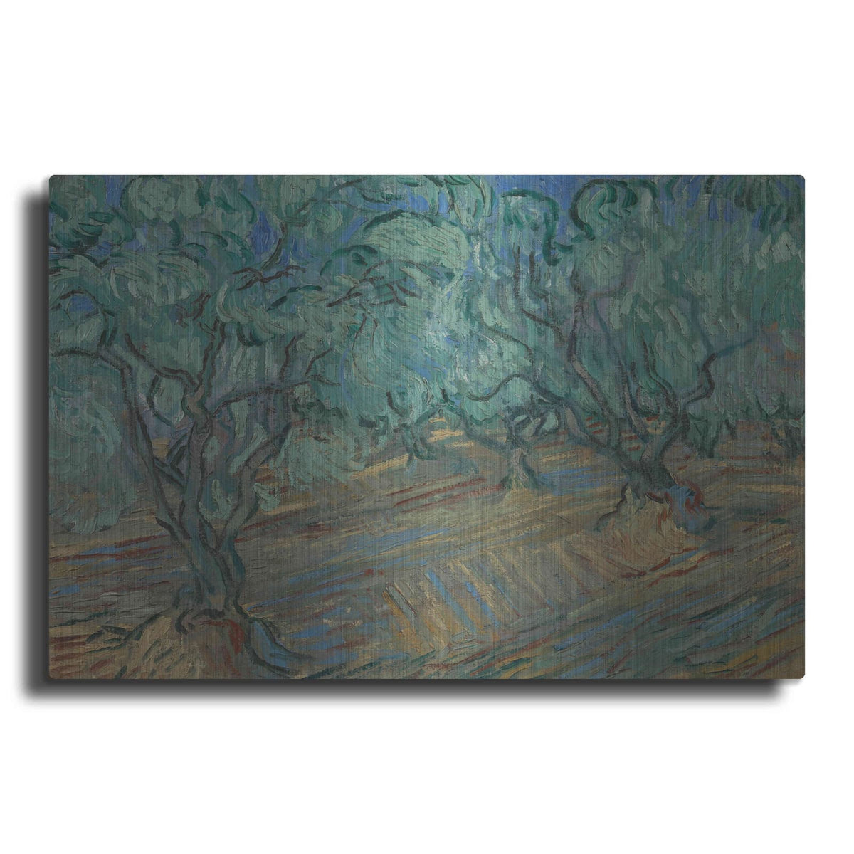 'Olive Grove' by Vincent Van Gogh – Metal Wall Art
