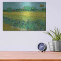 'Field With Irises Near Arles' by Vincent Van Gogh – Metal Wall Art, 16x12 room view
