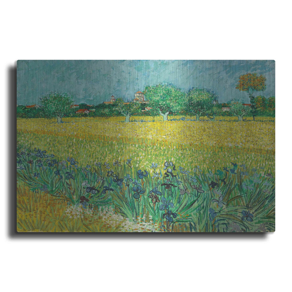 'Field With Irises Near Arles' by Vincent Van Gogh – Metal Wall Art