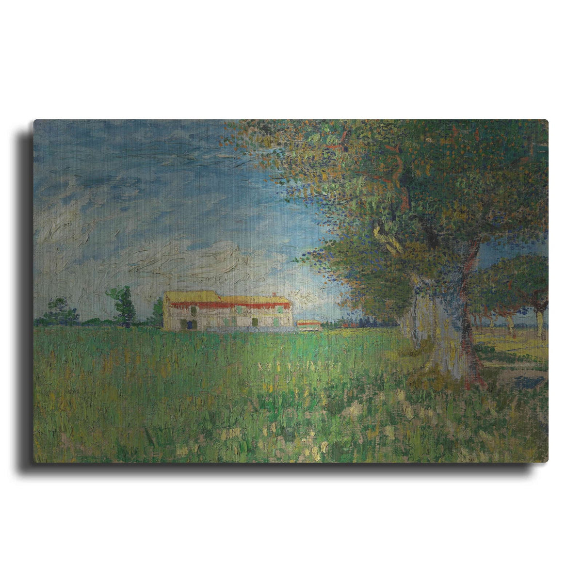 'Farmhouse In A Wheatfield' by Vincent Van Gogh – Metal Wall Art