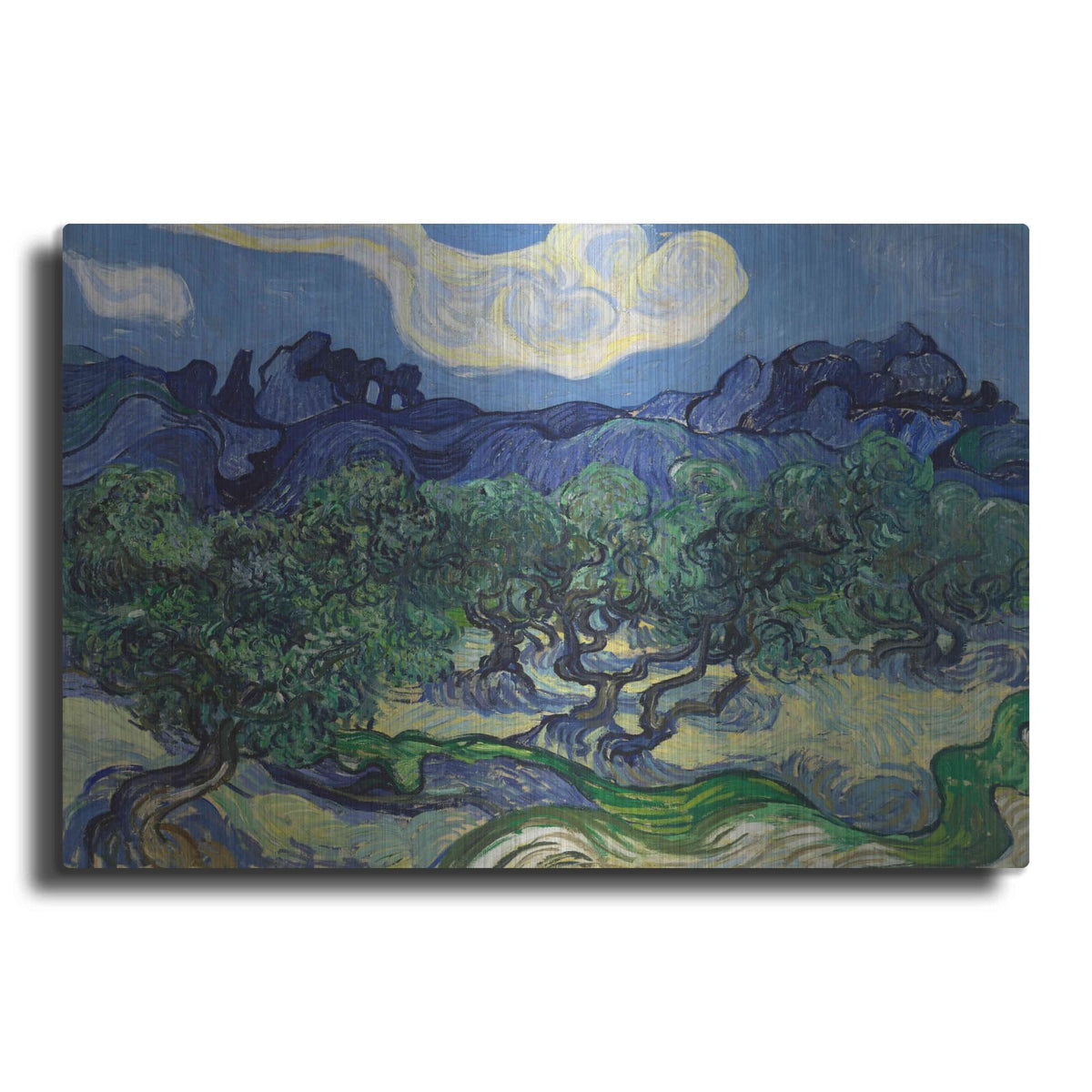 'The Olive Trees' by Vincent Van Gogh – Metal Wall Art