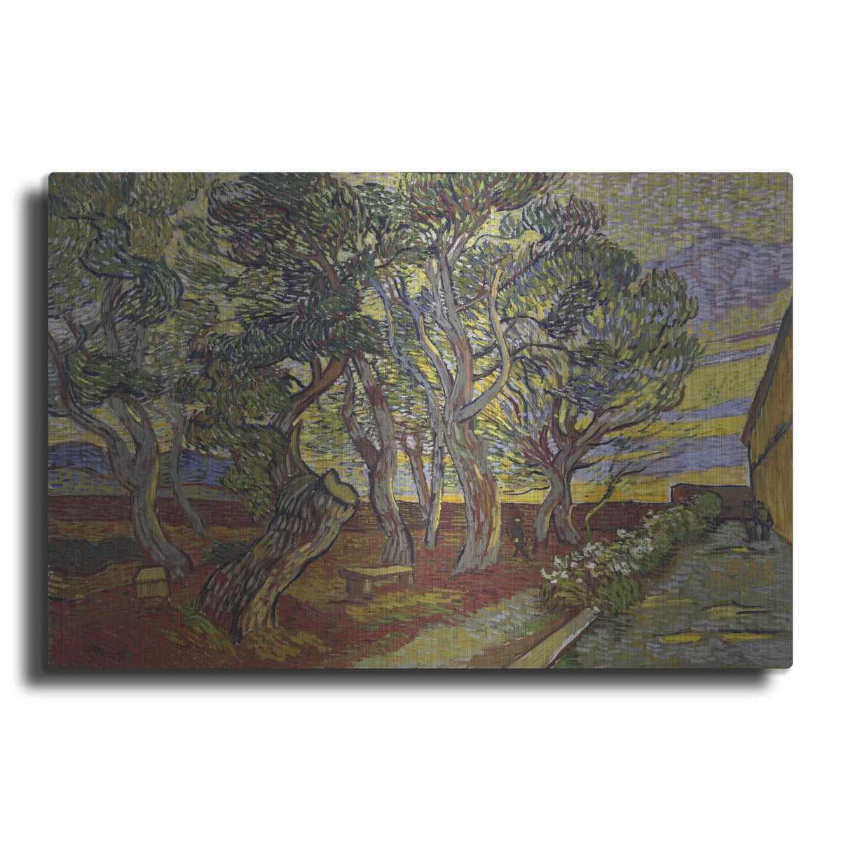 'The Garden Of Saint Paul's Hospital' by Vincent Van Gogh – Metal Wall Art