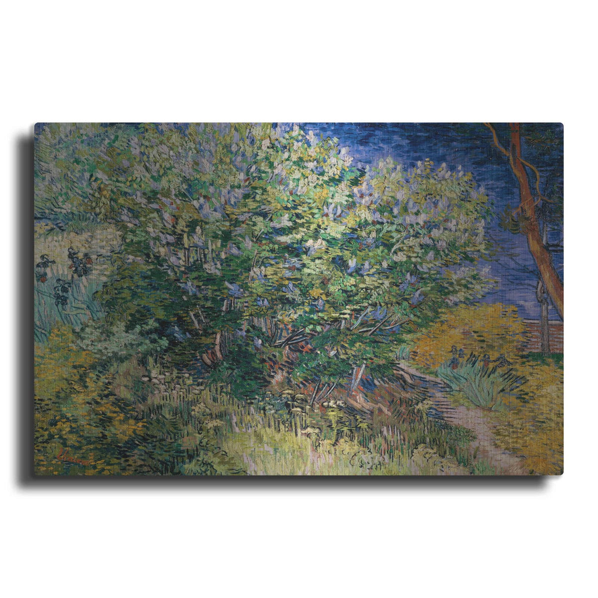 'Lilac Bush' by Vincent Van Gogh – Metal Wall Art