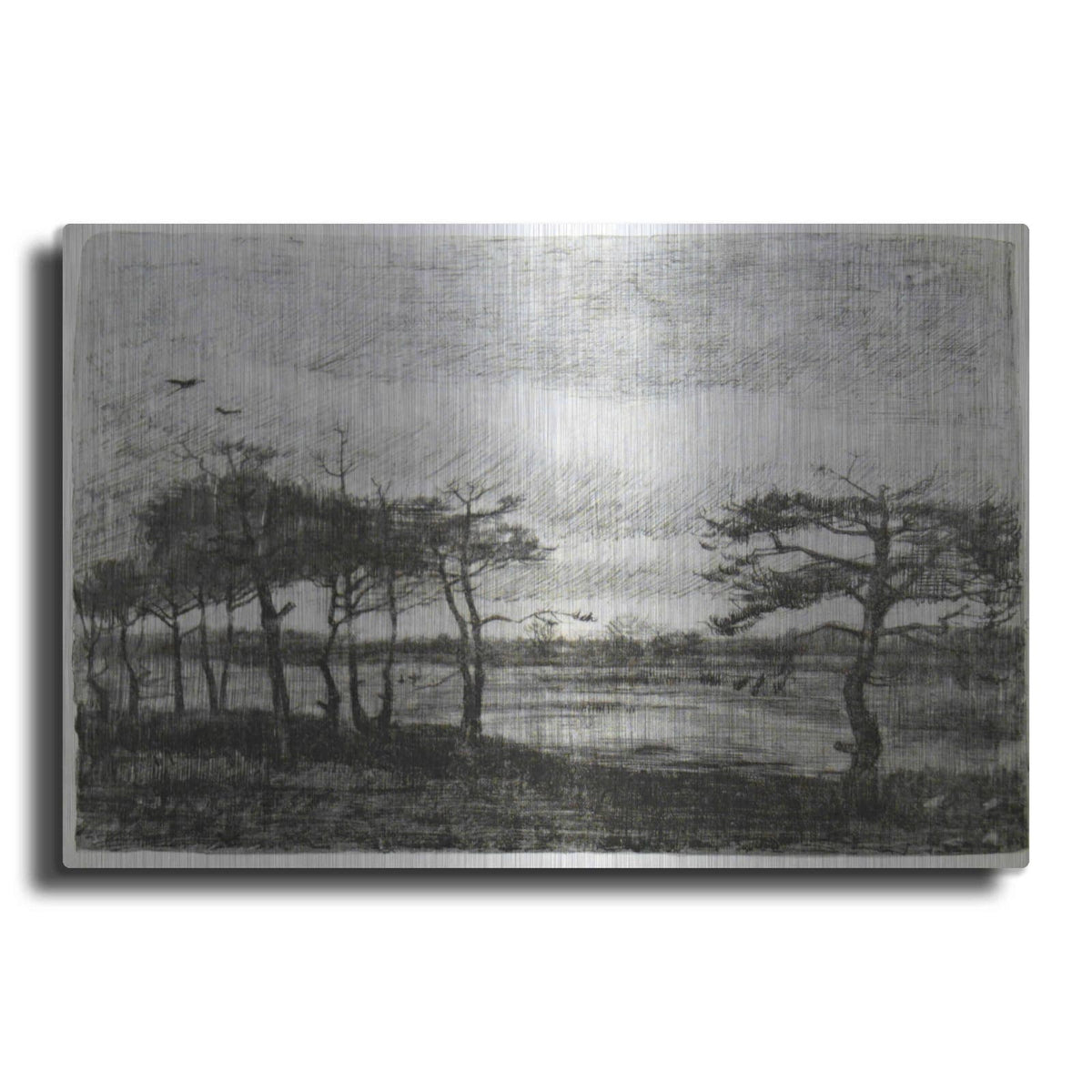 'Firs by A Swamp' by Vincent Van Gogh – Metal Wall Art