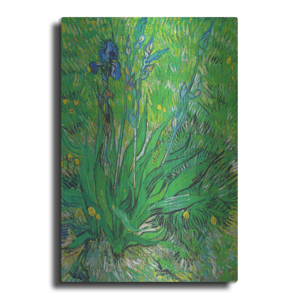 'Iris' by Vincent Van Gogh – Metal Wall Art