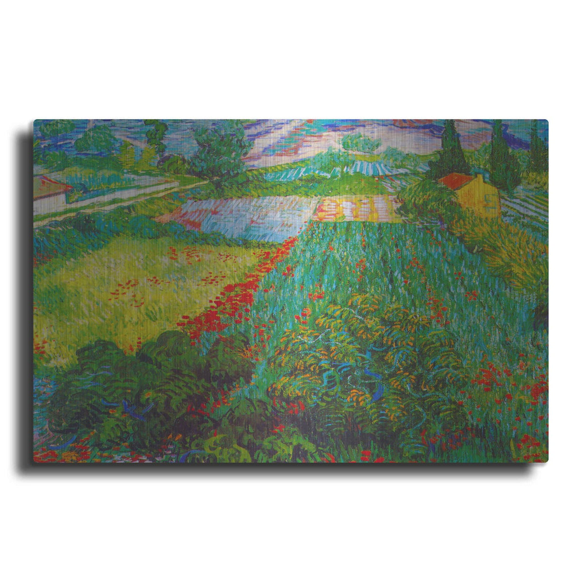 'Field With Poppies 2' by Vincent Van Gogh – Metal Wall Art
