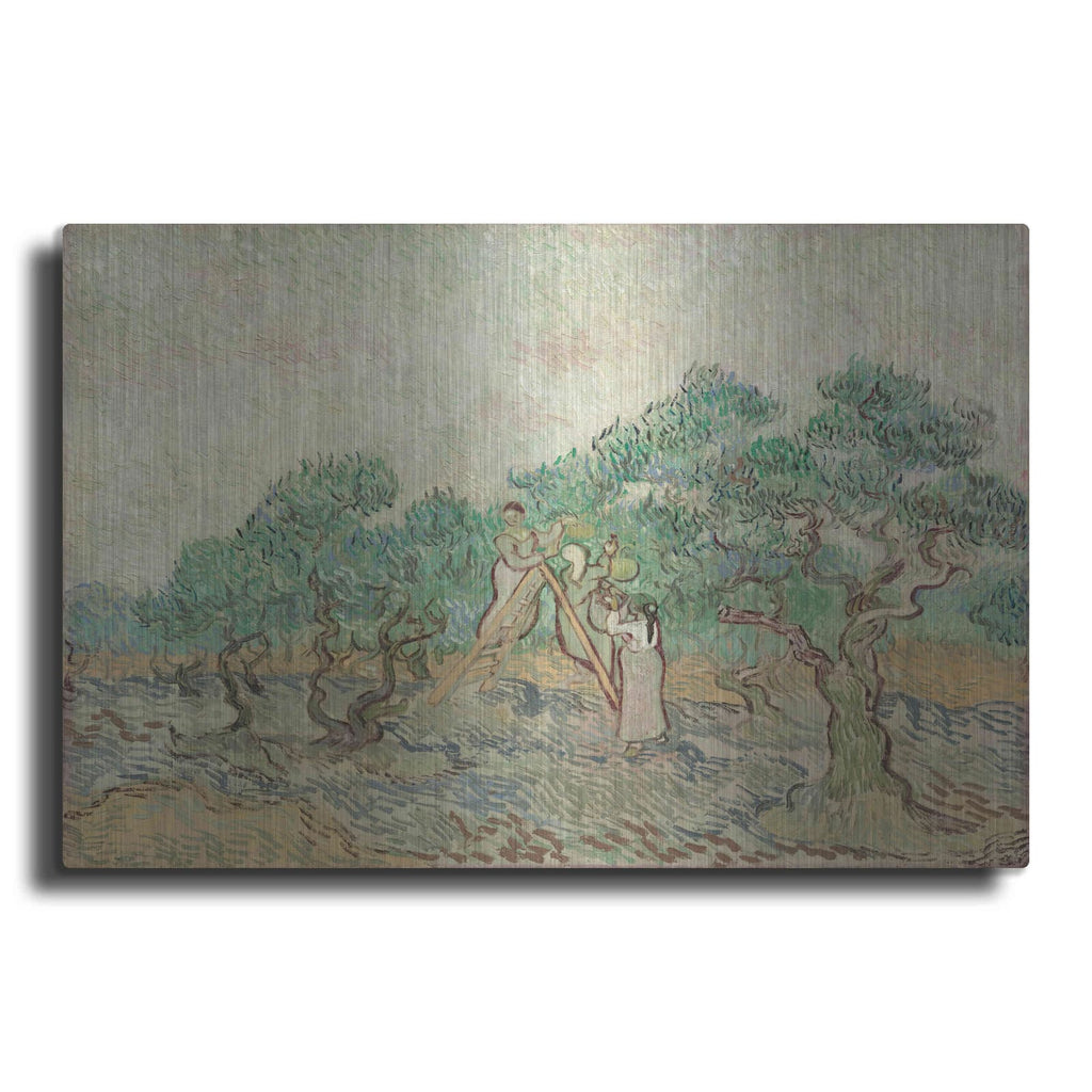 'The Olive Orchard' by Vincent Van Gogh – Metal Wall Art