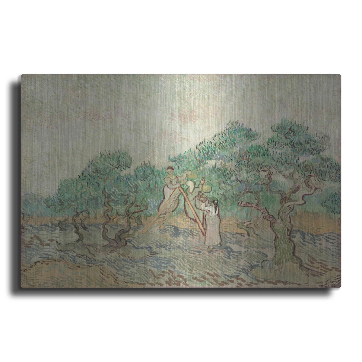 'The Olive Orchard' by Vincent Van Gogh – Metal Wall Art